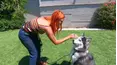 The Pet Collective Specials