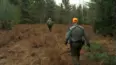 Wardens