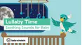 Baby Einstein Classics