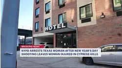 Arrest made in New Year's Day shooting in Cypress Hills