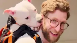 Influencer Takes Shelter Dogs on Adventures to Find Them Homes