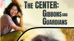 The Center Gibbons And Guardians