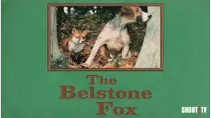 The Belstone Fox