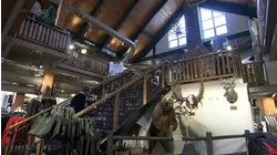 Heavy-lift Plane and More