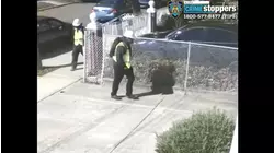 Police: Thieves dressed like Louvre heist suspects steal $3 million in jewelry