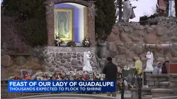 Thousands flocking to Shrine of Our Lady of Guadalupe in Des Plaines