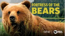 Fortress of the Bears
