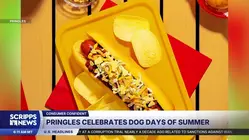 Pringles unveils flavored hot dog buns inspired by its crisps