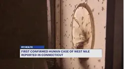 First human case of West Nile virus reported in Connecticut this year