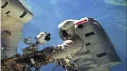 Forest Fires and More