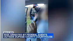 Man arrested by immigration agents outside suburban courthouse: VIDEO