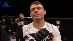 Rising Stars of 2017