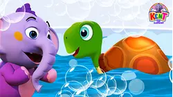 I Had A Little Turtle