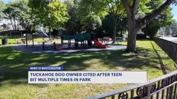 Dog owner issued summonses following incident involving bull terrier in Tuckahoe