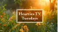 The Edify Show: Hearties Tuesday