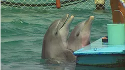 Cuba - A Salsa for Your Senses