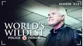 World's Wildest Police Videos