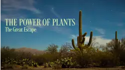 The Power Of Plants - Race to Grow and Breed