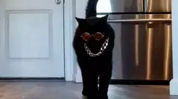 Pizza Caper