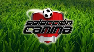 K9 World Cup (Spanish)