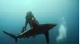 Blue Water Savages
