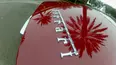 What's My Car Worth?