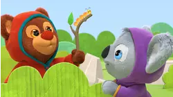 Book Hungry Bears