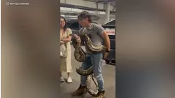 20-foot python found abandoned inside LA apartment complex dumpster