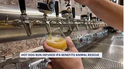 Pair of Fairfield businesses team up to support animal rescue efforts