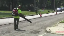 Essex County town temporarily suspending seasonal gas-powered leaf blower restrictions for storm cleanup