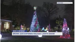 Bronx Zoo's 2026 holiday lights show to include access to animal exhibits