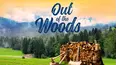Out Of The Woods