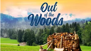 Out Of The Woods