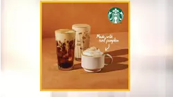 Starbucks and competitors pumpkin spice showdown