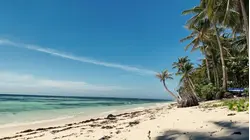 Expert: It's not too late to book summer travel in August