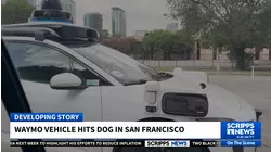 Viral Waymo crashes put driverless cars in the spotlight