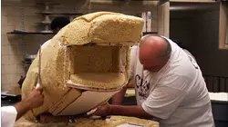 Shark Cake and Smelly Fish