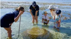 Iconic Trip Down Under