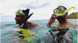 Honeymoons -- Married at First Sight