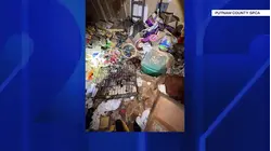 3 dogs found abandoned in dirty basement; Mahopac man charged with animal cruelty