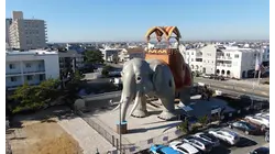 Lucy the Elephant gets new honor after 145 years at the Shore