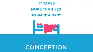 Conception