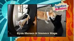 Goodies VS. Baddies | Gym Heroes & Sinister Slaps