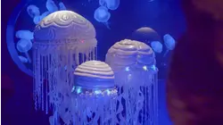 Skates and Jellyfish Cakes