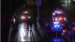 2 men arrested in violent Dyker Heights carjacking