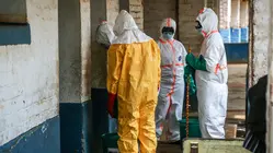 WHO Chief Says Ebola Outbreak in Congo is Outpacing Response