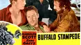 Buffalo Stampede