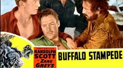 Buffalo Stampede