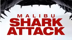 Malibu Shark Attack