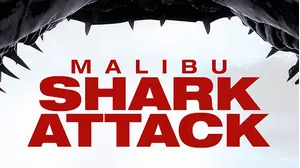 Malibu Shark Attack